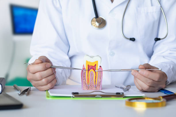 Best Emergency Dentist for Knocked-Out Tooth in Mledgevle, IL